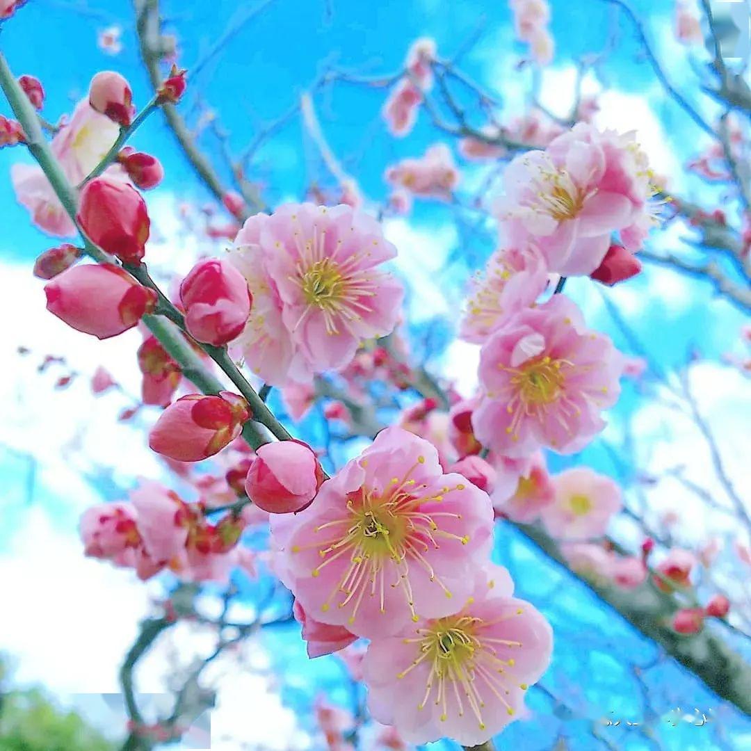 带着好心情过好每一天
