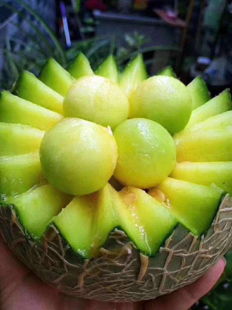 海南玫珑瓜甜蜜口感完胜哈密瓜