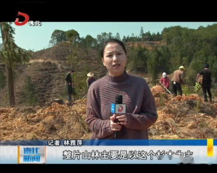 记者 林雅萍:我现在是在龙门滩镇霞山村,可以看到我身后的工人正在