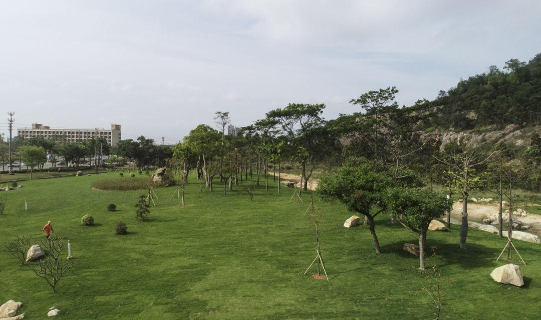 超大绿地景观湖面多彩植物珠海新添一个免费休闲好去处就在这里