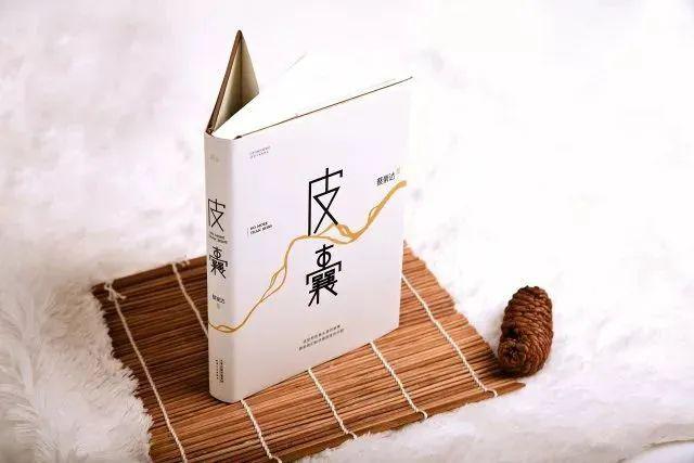 内容简介《皮囊》是蔡崇达的第一部文学作品,一部有着小说阅读质感的