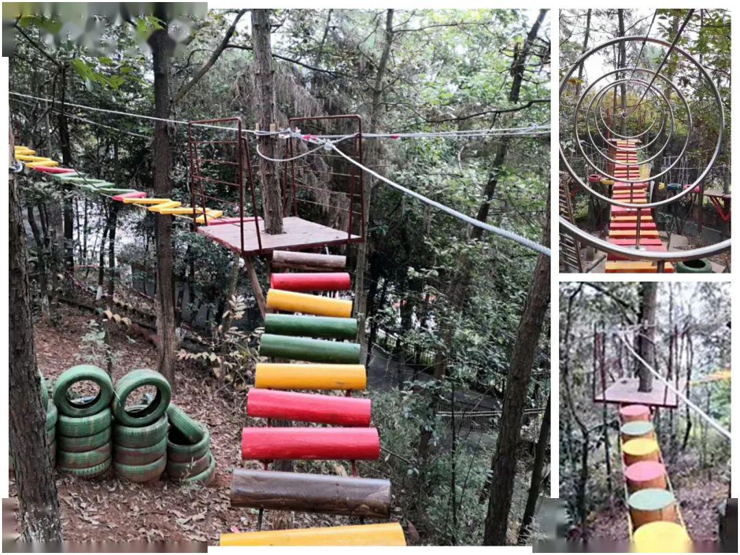 春风十里游合川·友缘山庄免费游