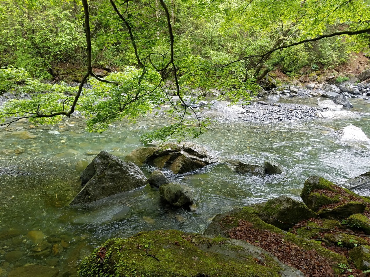 这里山清水秀,有着丰富的自然和人文景观