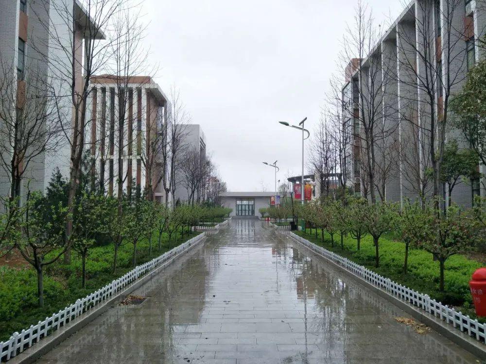 醉美校园静待开学篇记东城街道七贤小学校园景色