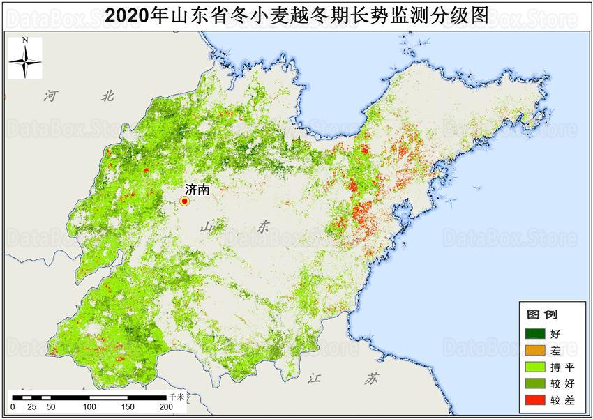 2020年冬小麦越冬期长势监测