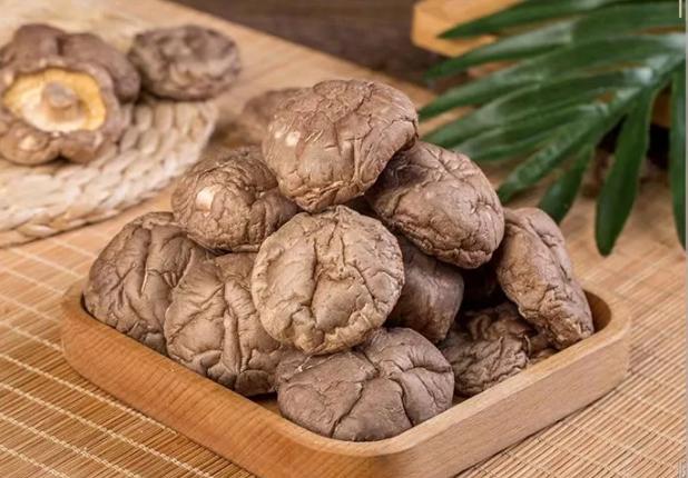 山珍之王商洛香菇