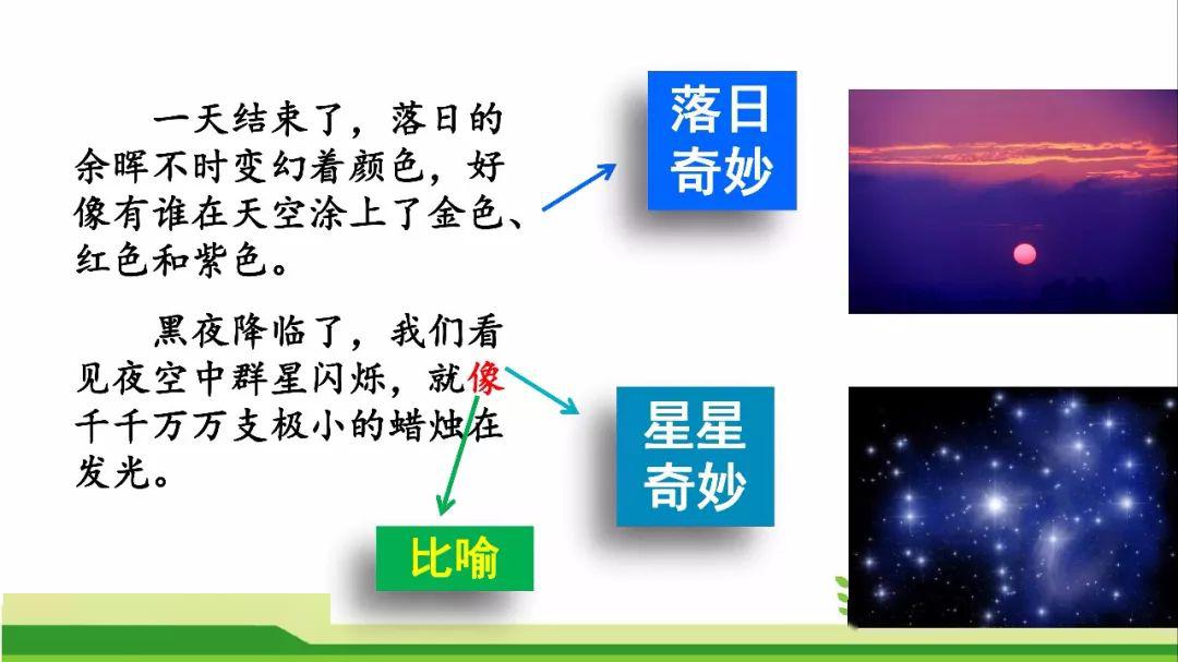 部編版三年級下冊第22課我們奇妙的世界知識點圖文講解