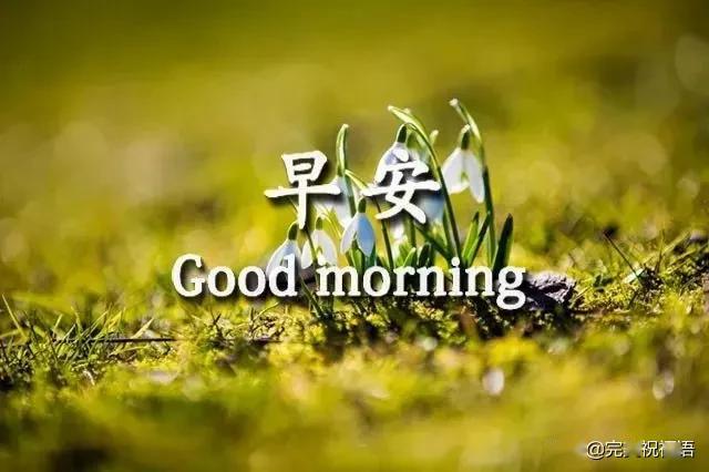 2020最新版早上好表情图片特别漂亮早上好问候语图片带字