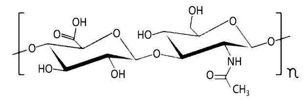 其他應用:透明質酸以其獨特的分子結構和理化性質在機體內顯示出多種