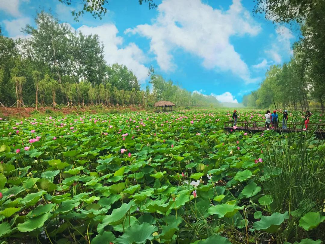 春暖花開棗莊等您來全市重點景區有序復工開園