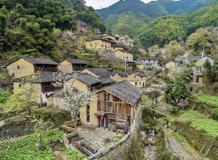 错过等一年大片和美图带你看龙泉车盘坑村梨花盛景