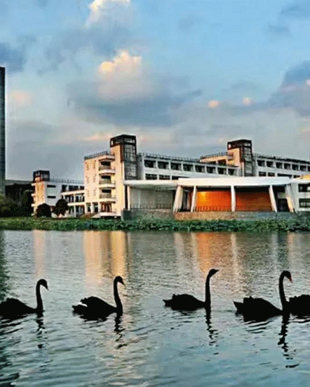 听说你想念学校的校园风光小编这就把春天寄给你