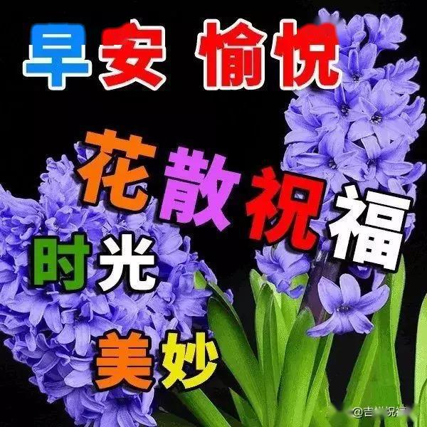 3月29日早上好問候祝福語祝福圖片最好看早安祝福美圖送給大家