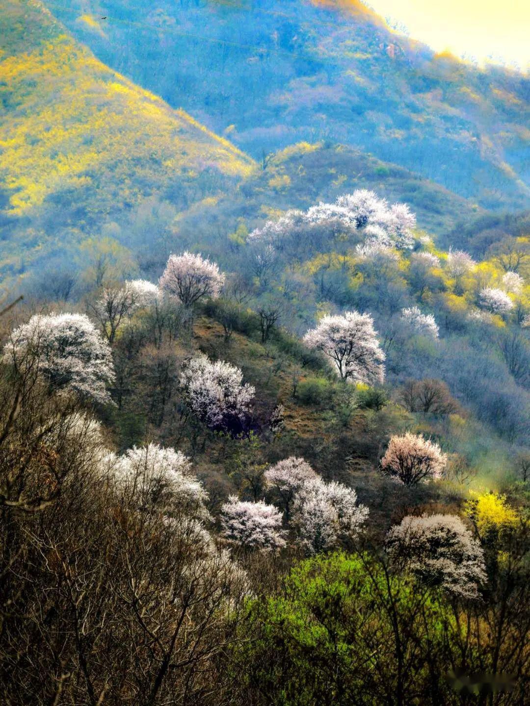 牛岭村张汴寺院村原店岔里村王家后赵里河王家后赵里河张汴寺院村生活