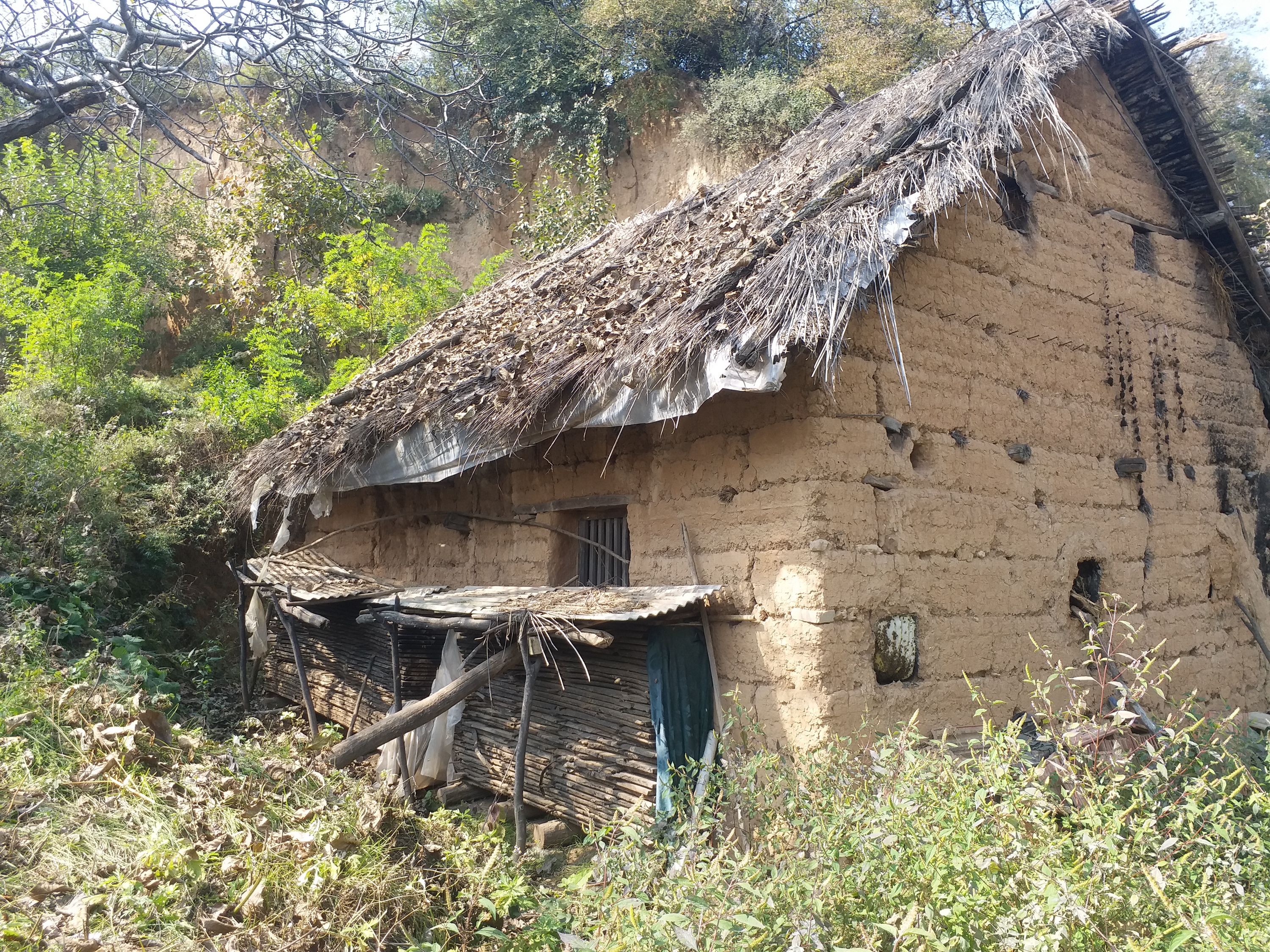 10张秦岭深山废弃老宅,这是你想要的隐居生活吗?