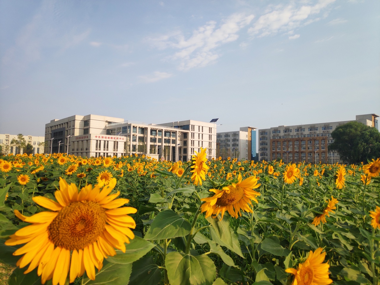 2020年河南高职单招院校专题——河南测绘职业学院