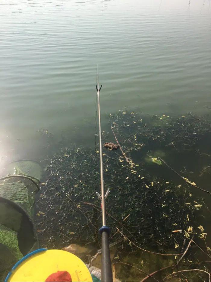 底钓口少改钓离底小爆护