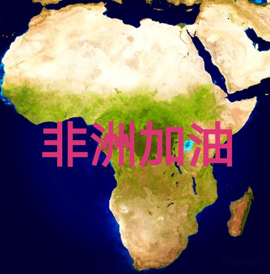  非洲疫情种类有多少种(非洲马的种类)