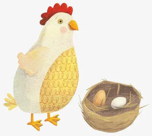 【阅读欣赏】老舍《母鸡》_鸡雏