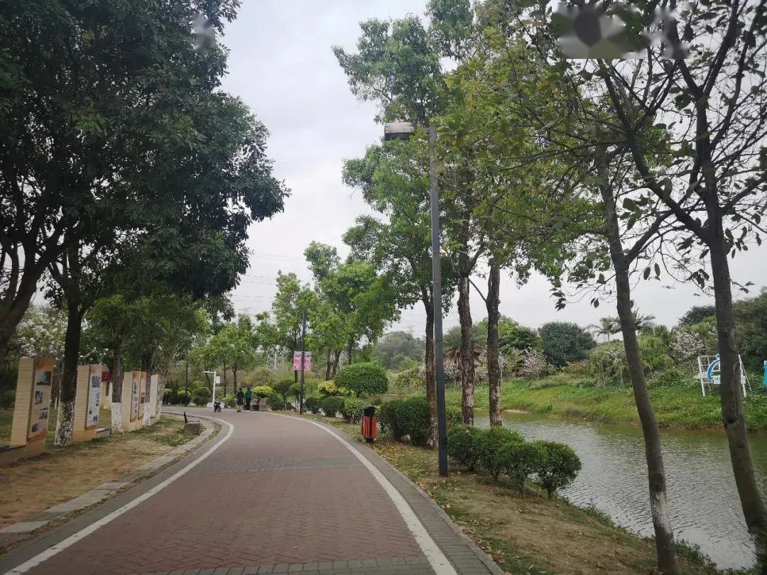 荔香溼地公園 =03有成千上萬的鷺鳥聚集在生態園內每年的四,五月份