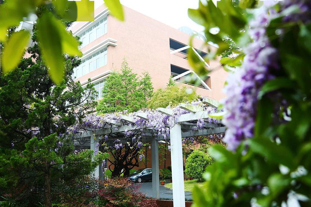 【"云"聚校园】春色满园与君共赏 | 吴淞中学校园春景,可曾让你动了心