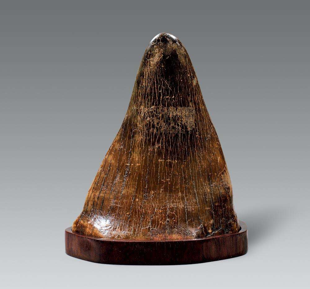 当时通天犀的价格是黄金的两倍,四斤通天犀是八斤金子,八斤金子是一百