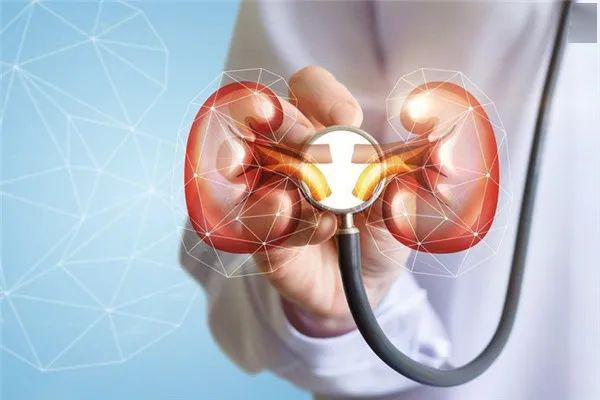 02少吃加工红肉如火腿肠,培根,腊肉,熏肉,午餐肉,肉罐头等,因为肾脏不