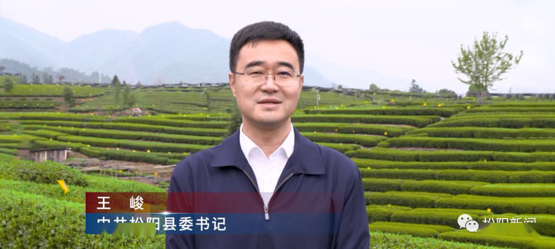 刚刚第十三届中国国际茶商大会松阳香茶网络茶叶节直播活动开始啦67