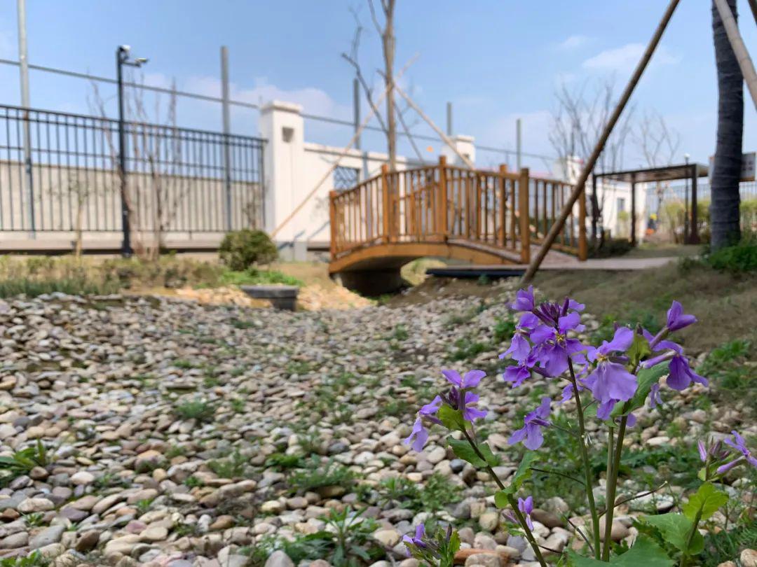 15长阳幼儿园来源 | 拱宸中学,长阳中学,福山外国语小学,北秀小学上塘