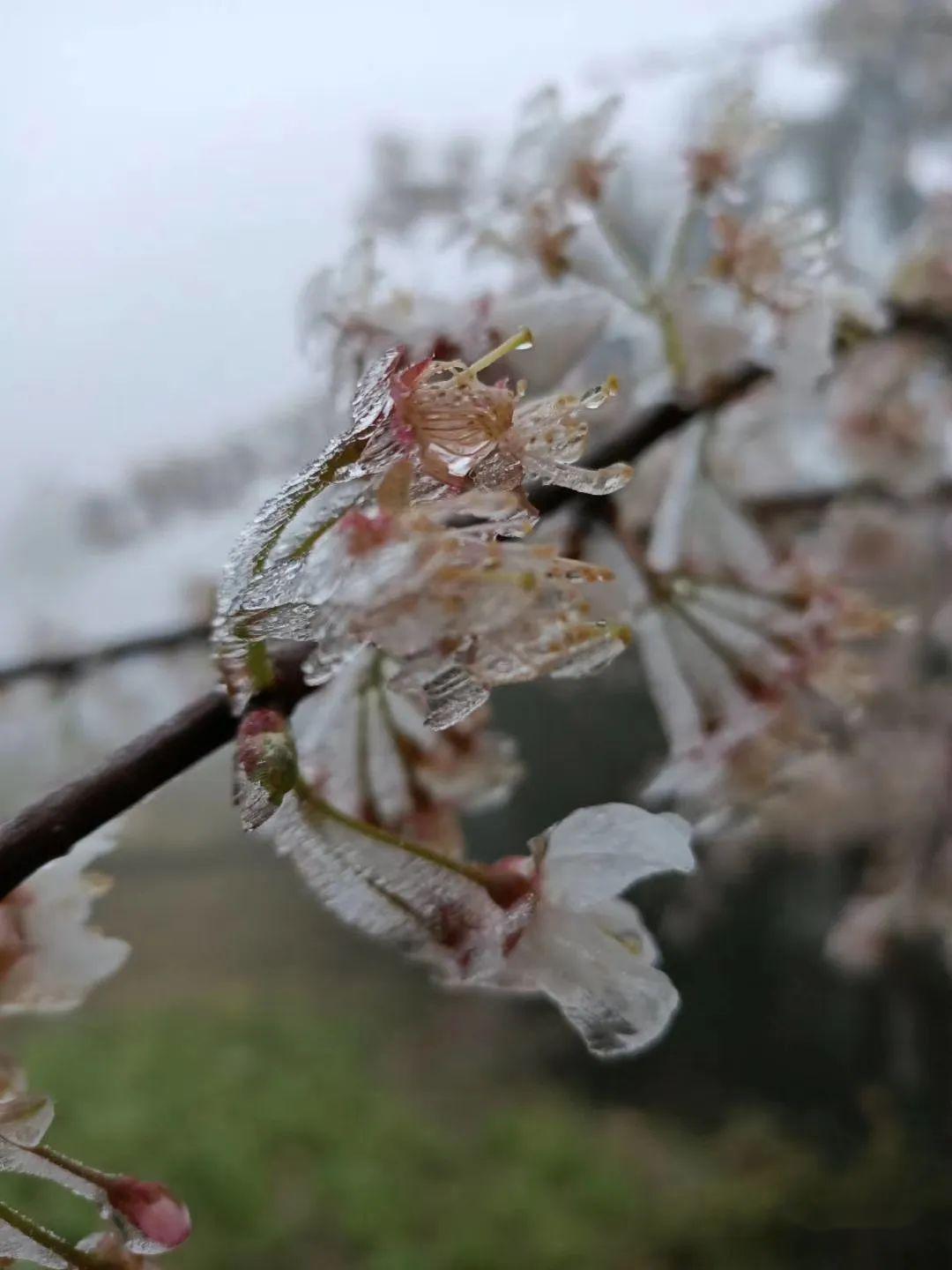 隆回高寒山区又结冰了!
