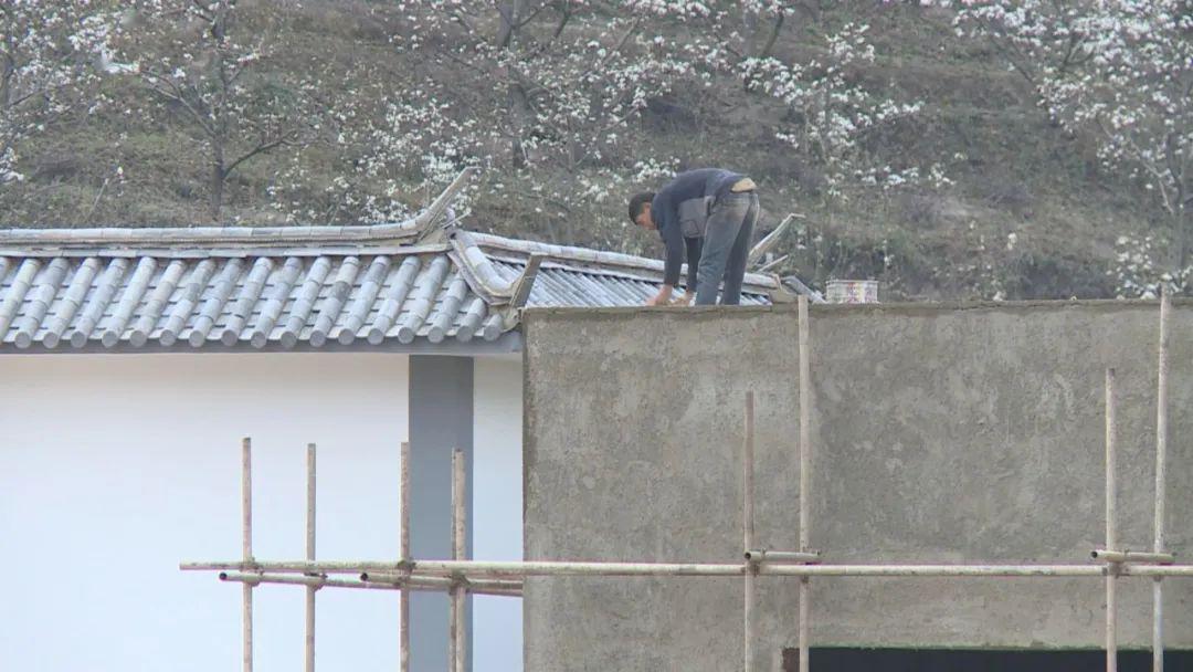 巍山县马鞍山乡灭门图片