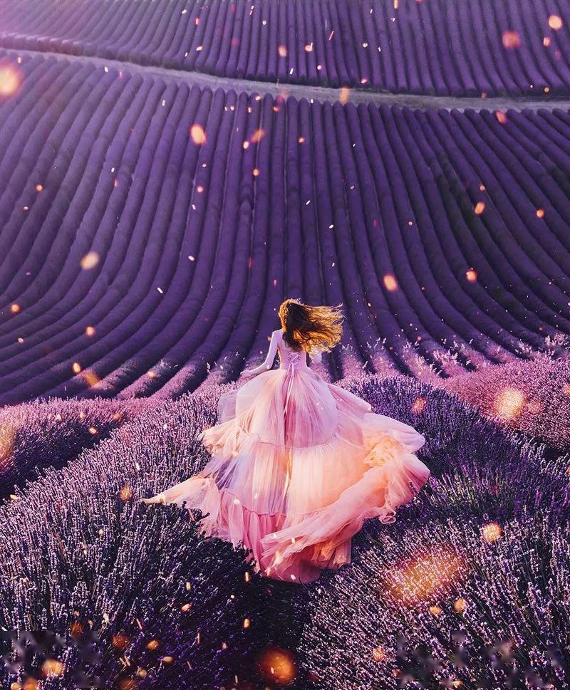 花海 人像,这样拍照美翻了!