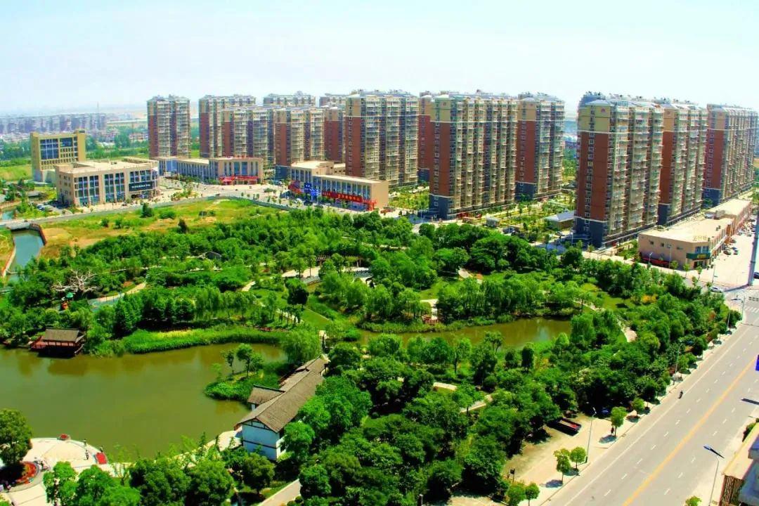 陈桥街道:添一抹绿意 点亮希望之光