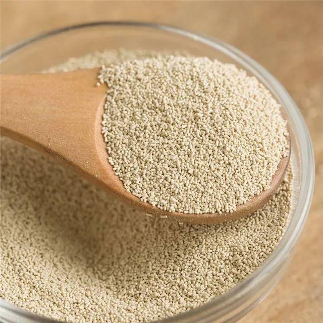 酵母的分类作用使用及保存方法