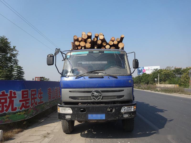 无证运输木材在高安被查了