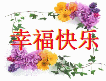 338_258gif 动态图 动图