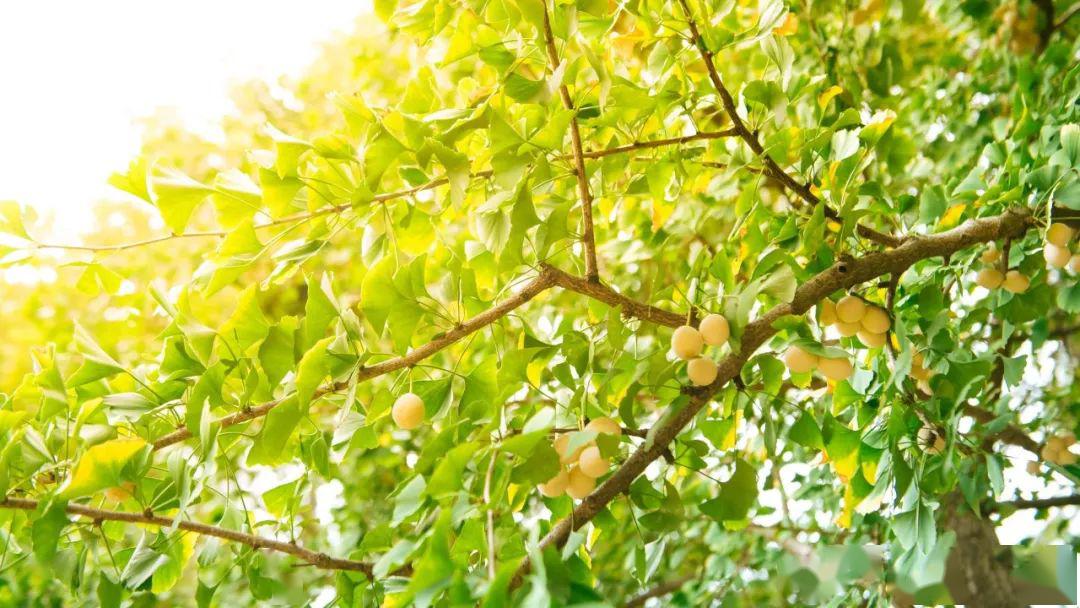 过去我们好生相送明天我们满心欢喜