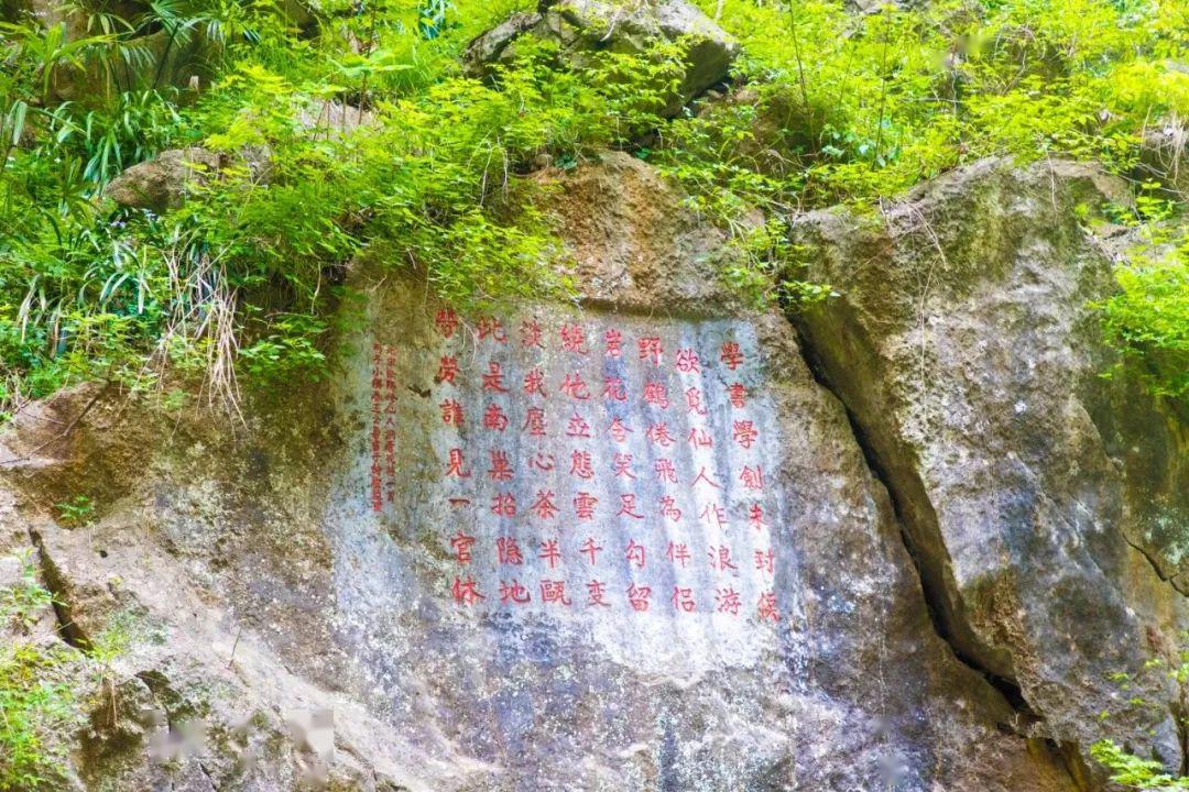 银屏牡丹保持最高记录,预计清明节期间将迎来最佳观赏期!