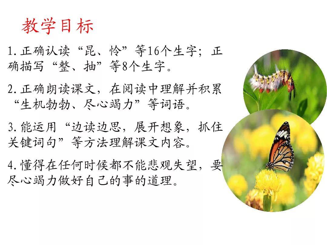 宅家语文课丨部编版二年级下册课文22《小毛虫》
