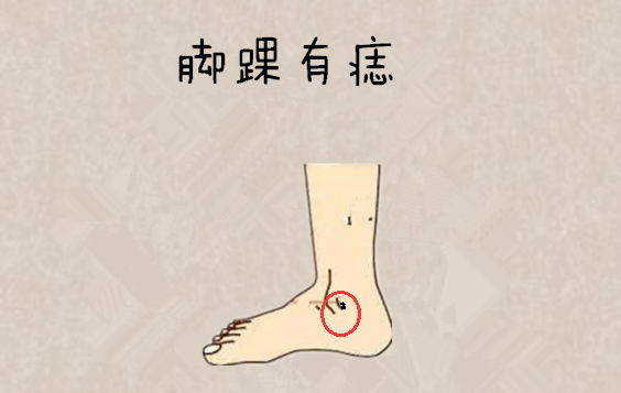 脚踝有痣一个人的脚踝处有痣,也就是在脚关节的部位,说明这个人一辈子