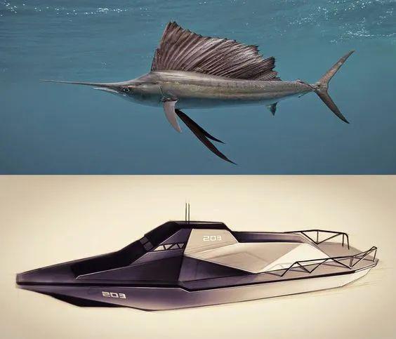 素材仿生素材以及练习参考