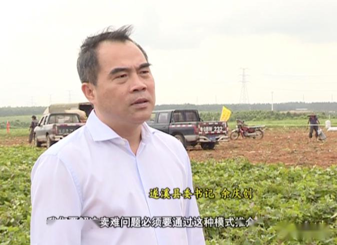 遂溪县委书记余庆创直播带货遂溪红薯助农增收