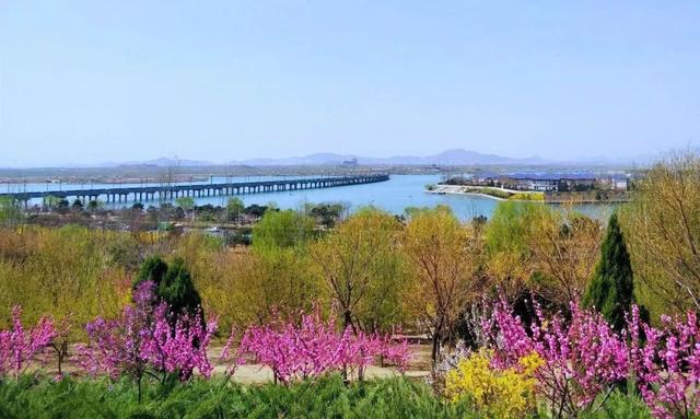 雲遊遷安城市公園春意盎然