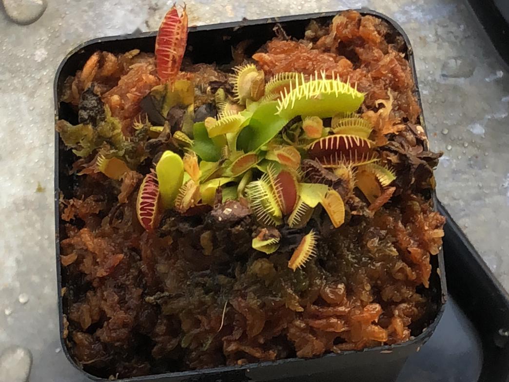 天台饲养间打造你的专属阳台