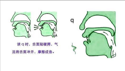 使舌面前紧贴硬腭前部,形成阻塞;软腭上升,关闭鼻腔通路;声带不颤动