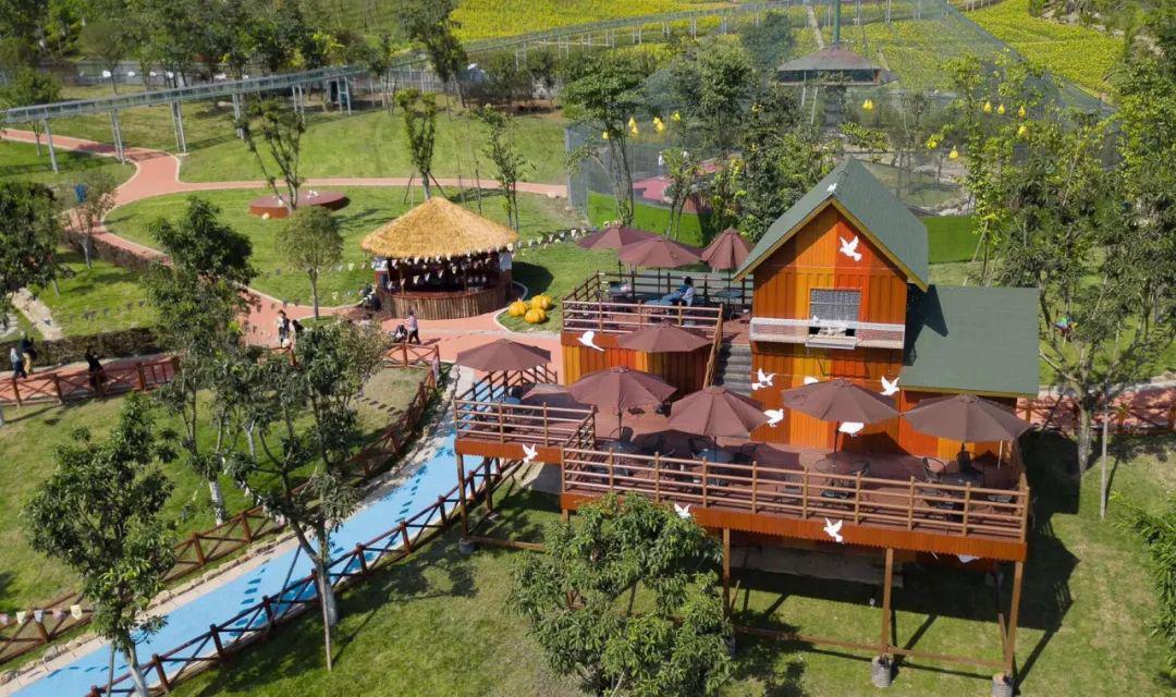 门票免费送春天的成都好久不见