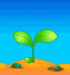 300_320gif 动态图 动图