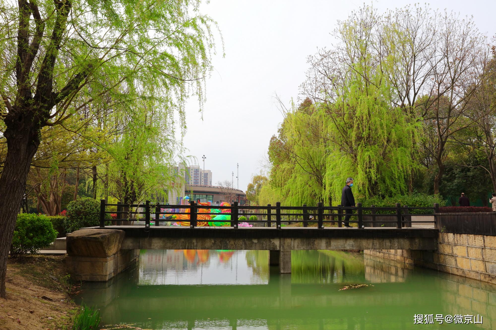 京山文峰公园:疫情消褪,春暖花开,春色撩人