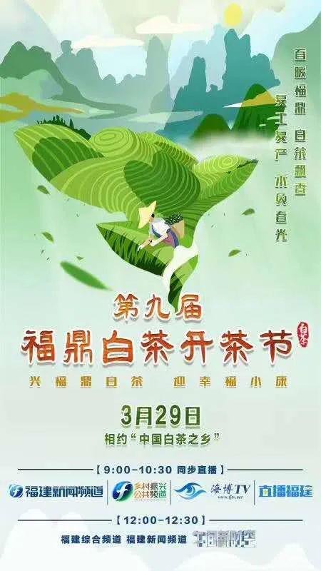赴一场春天的约定第九届福鼎白茶开茶节今天正在直播