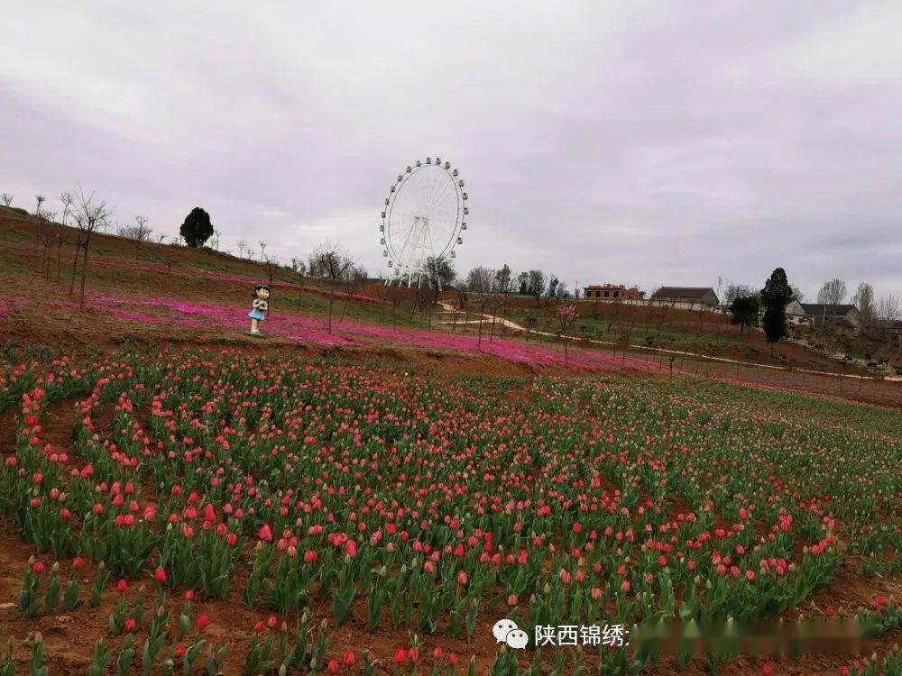 疫情过后踏春赏花锦绣大地致敬逆行英雄